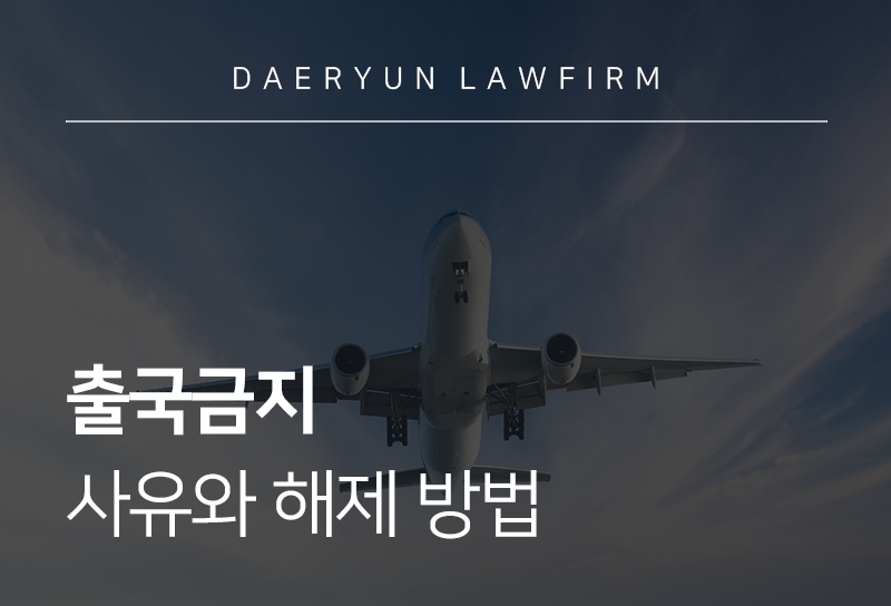 출국금지해제를 위한 금지 사유 확인과 해제 절차 안내