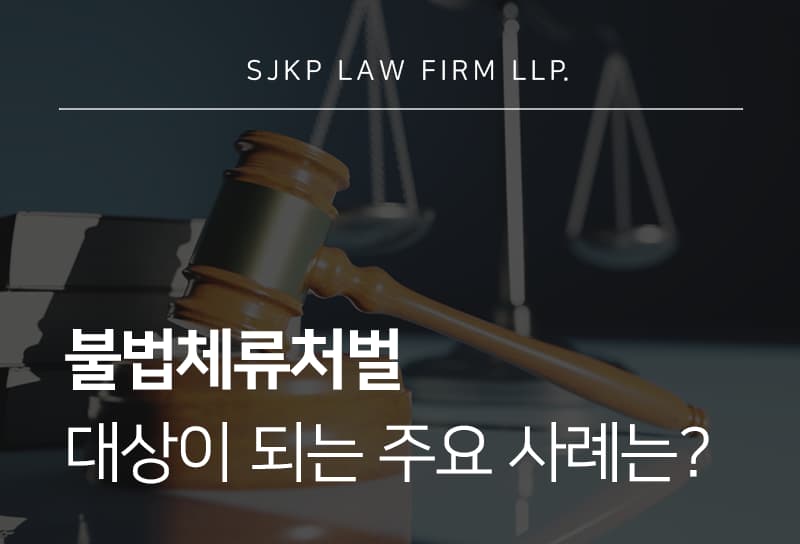 불법체류처벌 절차와 출입국관리법 위반 대응 시 유의사항